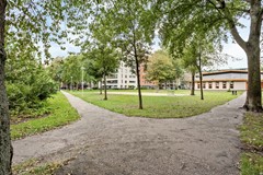 54 Nieuwdamlaan 116 Den Haag.jpg